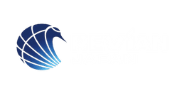 REVIAN NEXT SYSTEM